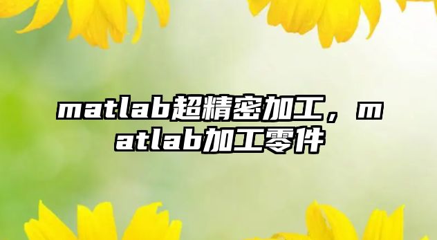 matlab超精密加工，matlab加工零件