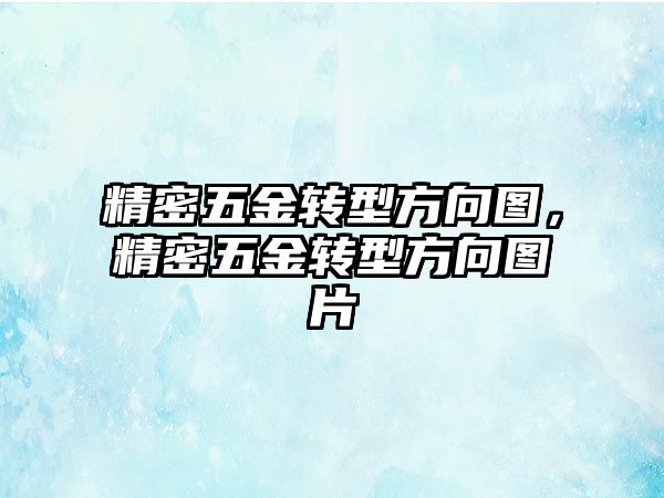 精密五金轉(zhuǎn)型方向圖，精密五金轉(zhuǎn)型方向圖片