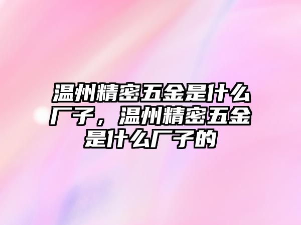 溫州精密五金是什么廠子，溫州精密五金是什么廠子的