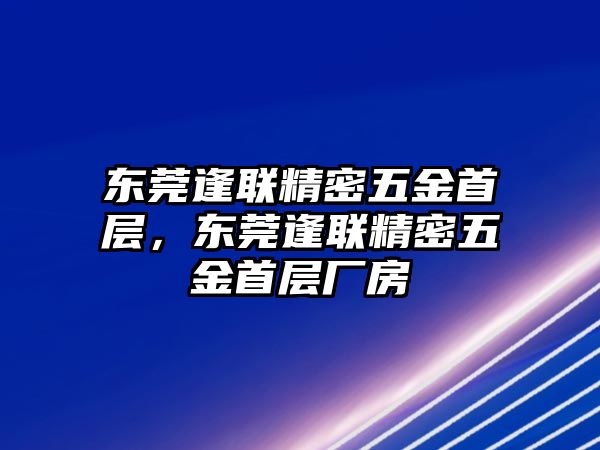 東莞逢聯(lián)精密五金首層，東莞逢聯(lián)精密五金首層廠房