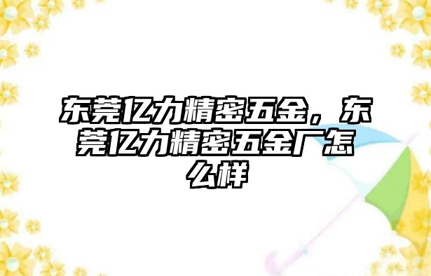 東莞億力精密五金，東莞億力精密五金廠怎么樣