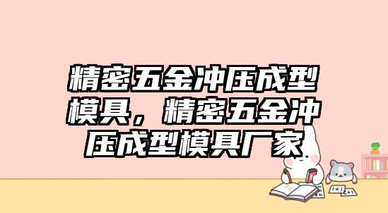 精密五金沖壓成型模具，精密五金沖壓成型模具廠家