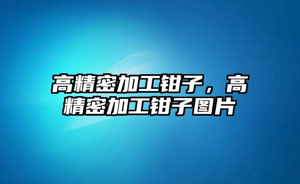 高精密加工鉗子，高精密加工鉗子圖片