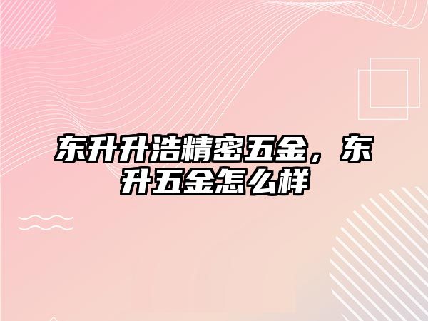 東升升浩精密五金，東升五金怎么樣