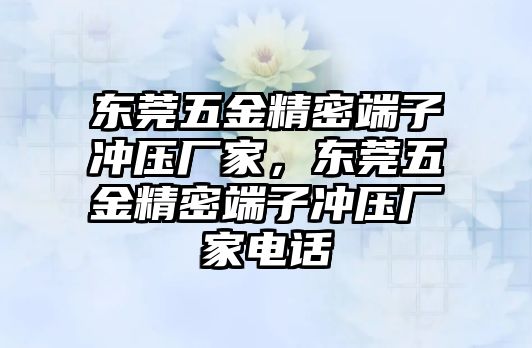 東莞五金精密端子沖壓廠家，東莞五金精密端子沖壓廠家電話