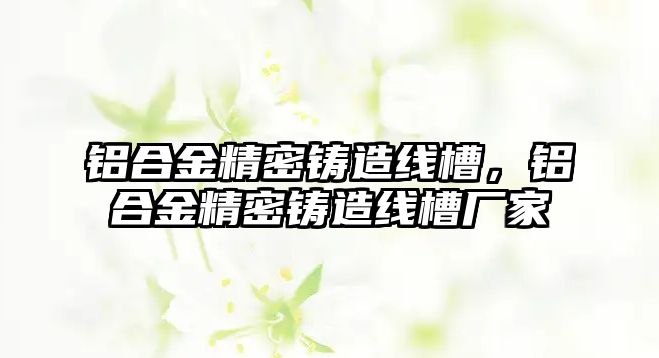 鋁合金精密鑄造線槽，鋁合金精密鑄造線槽廠家