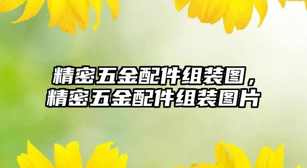 精密五金配件組裝圖，精密五金配件組裝圖片