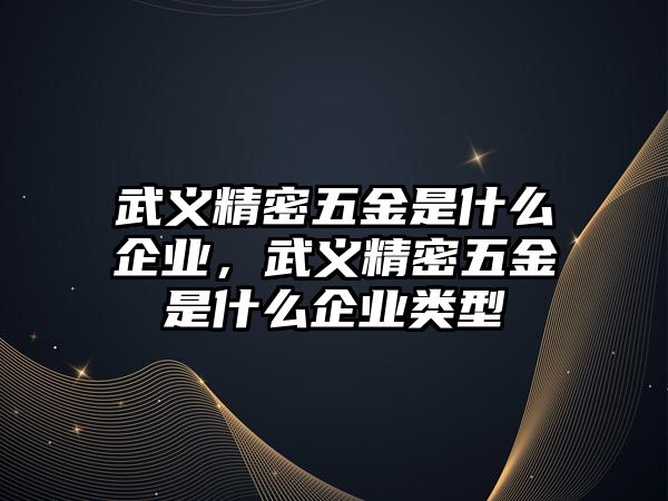 武義精密五金是什么企業(yè)，武義精密五金是什么企業(yè)類型