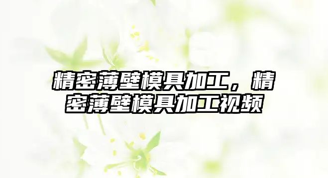 精密薄壁模具加工，精密薄壁模具加工視頻