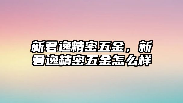 新君逸精密五金，新君逸精密五金怎么樣