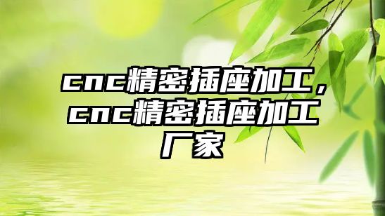 cnc精密插座加工，cnc精密插座加工廠(chǎng)家