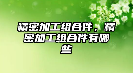 精密加工組合件，精密加工組合件有哪些