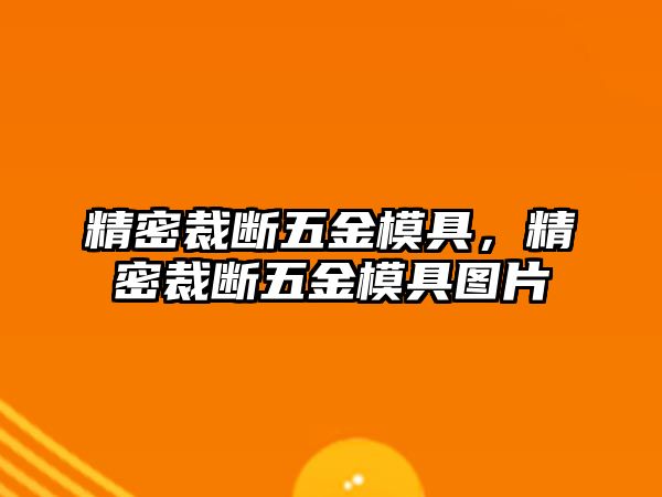 精密裁斷五金模具，精密裁斷五金模具圖片