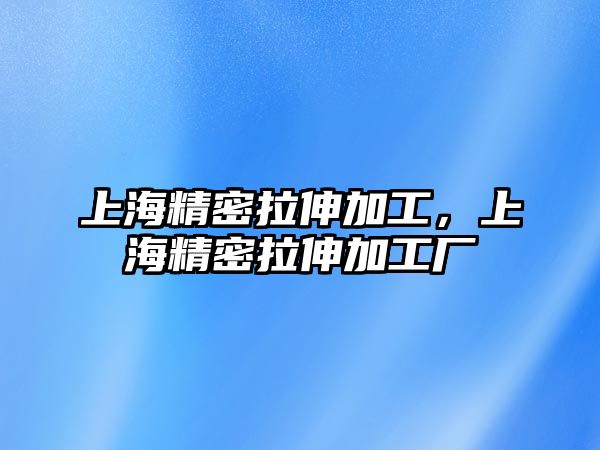 上海精密拉伸加工，上海精密拉伸加工廠