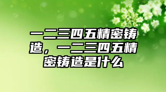 一二三四五精密鑄造，一二三四五精密鑄造是什么