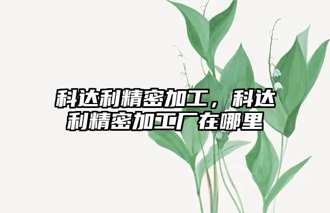 科達(dá)利精密加工，科達(dá)利精密加工廠在哪里