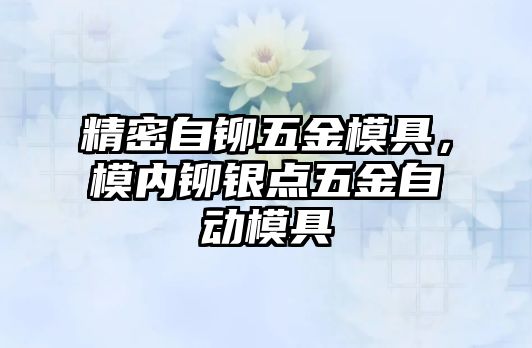 精密自鉚五金模具，模內(nèi)鉚銀點(diǎn)五金自動模具