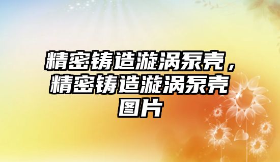 精密鑄造漩渦泵殼，精密鑄造漩渦泵殼圖片