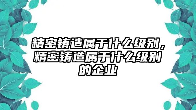 精密鑄造屬于什么級(jí)別，精密鑄造屬于什么級(jí)別的企業(yè)