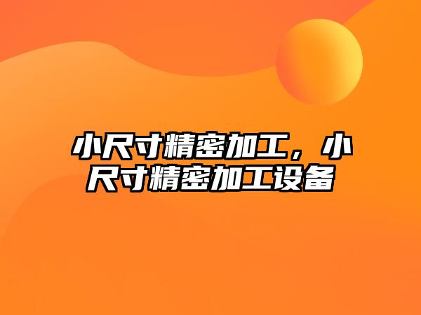 小尺寸精密加工，小尺寸精密加工設(shè)備