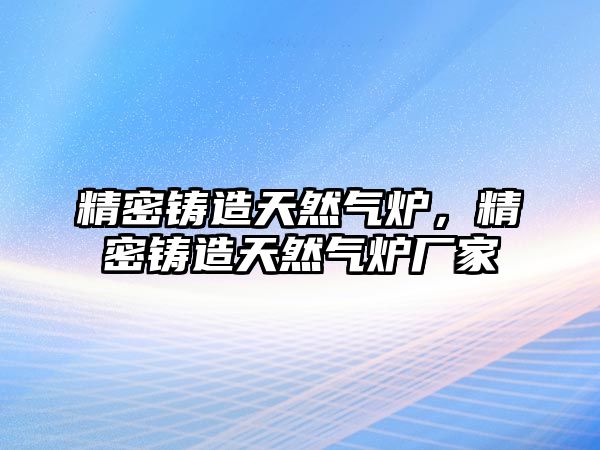 精密鑄造天然氣爐，精密鑄造天然氣爐廠家