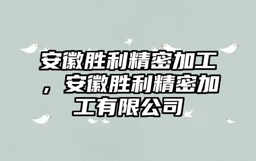 安徽勝利精密加工，安徽勝利精密加工有限公司