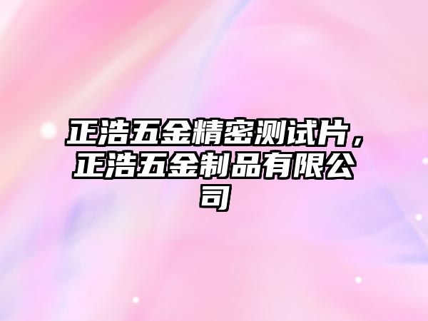 正浩五金精密測試片，正浩五金制品有限公司