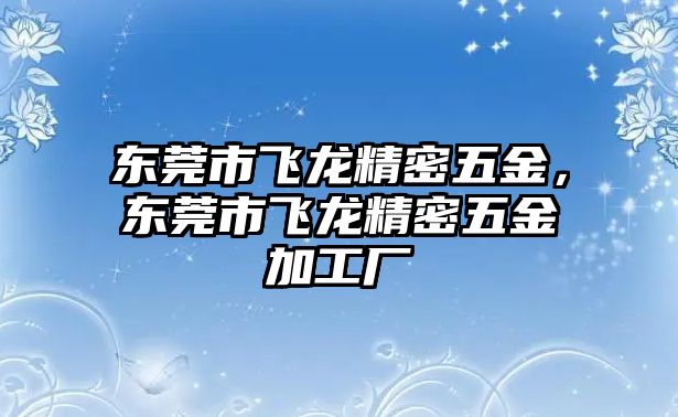 東莞市飛龍精密五金，東莞市飛龍精密五金加工廠