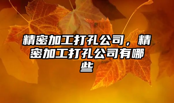 精密加工打孔公司，精密加工打孔公司有哪些