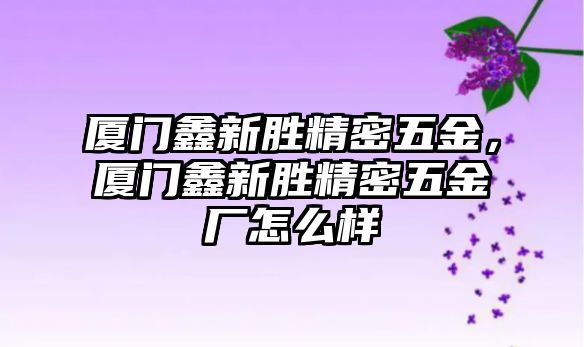 廈門鑫新勝精密五金，廈門鑫新勝精密五金廠怎么樣