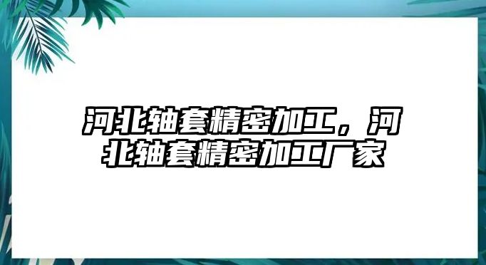 河北軸套精密加工，河北軸套精密加工廠家