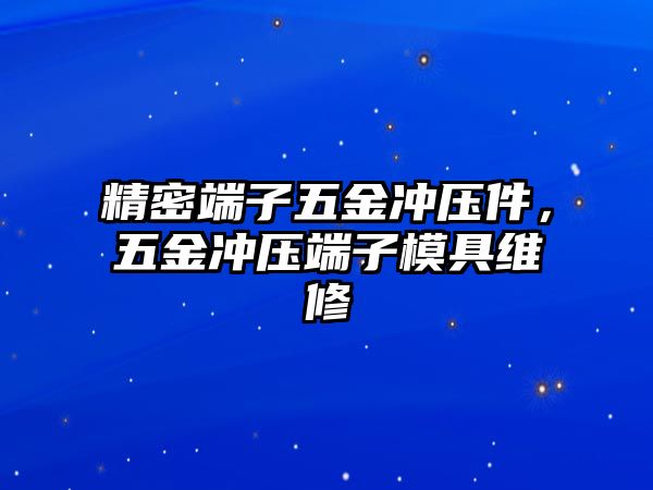 精密端子五金沖壓件，五金沖壓端子模具維修