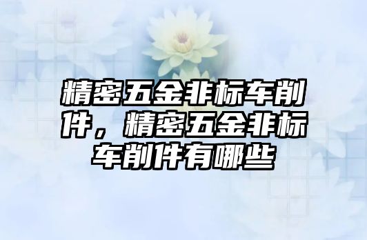 精密五金非標車削件，精密五金非標車削件有哪些