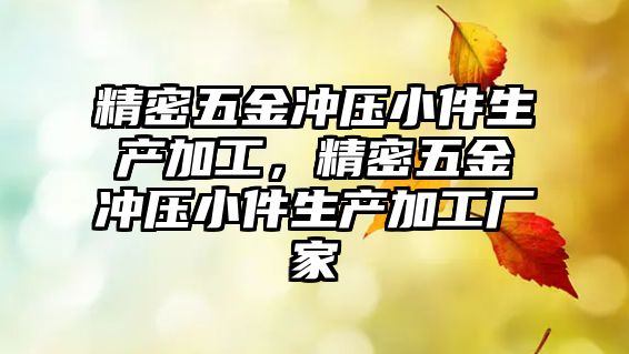 精密五金沖壓小件生產(chǎn)加工，精密五金沖壓小件生產(chǎn)加工廠家