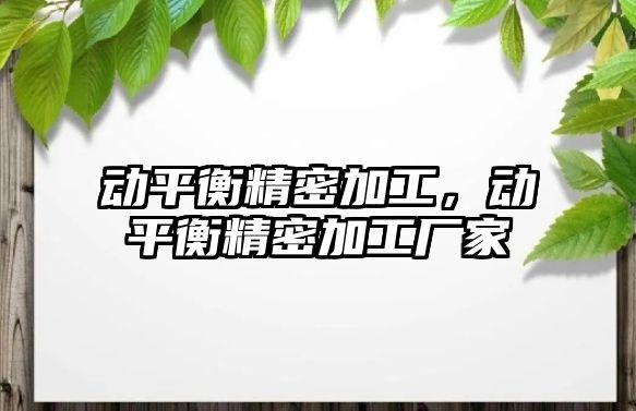 動平衡精密加工，動平衡精密加工廠家