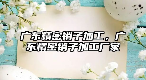 廣東精密銷子加工，廣東精密銷子加工廠家