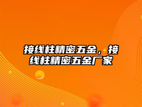 接線柱精密五金，接線柱精密五金廠家