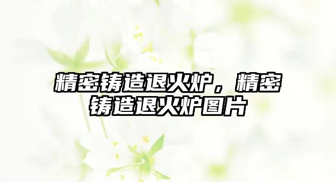 精密鑄造退火爐，精密鑄造退火爐圖片