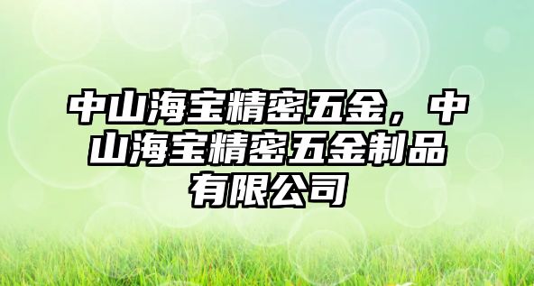 中山海寶精密五金，中山海寶精密五金制品有限公司