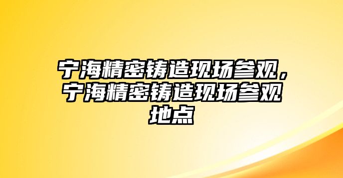 寧海精密鑄造現(xiàn)場(chǎng)參觀，寧海精密鑄造現(xiàn)場(chǎng)參觀地點(diǎn)