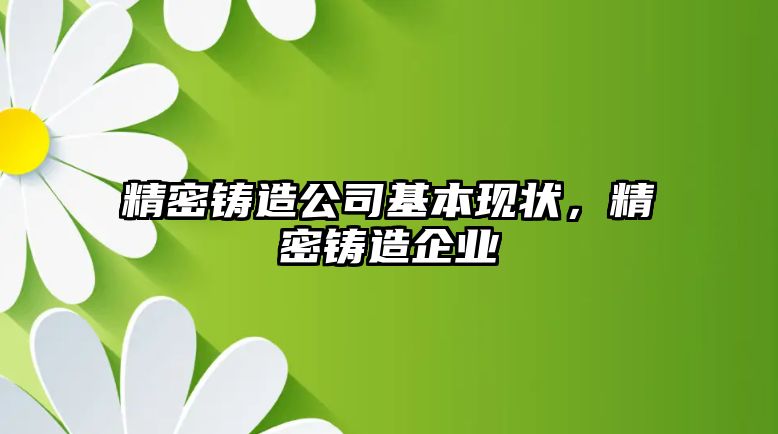 精密鑄造公司基本現(xiàn)狀，精密鑄造企業(yè)