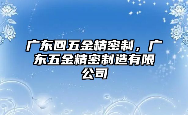 廣東回五金精密制，廣東五金精密制造有限公司