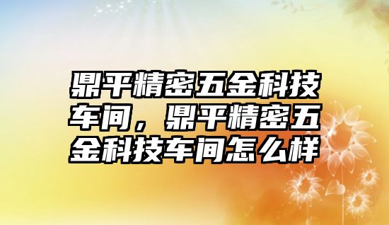 鼎平精密五金科技車間，鼎平精密五金科技車間怎么樣