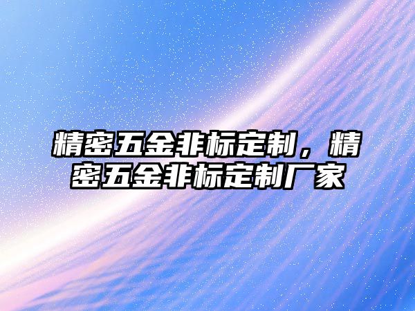 精密五金非標(biāo)定制，精密五金非標(biāo)定制廠家