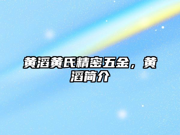 黃滔黃氏精密五金，黃滔簡(jiǎn)介