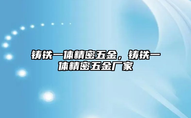 鑄鐵一體精密五金，鑄鐵一體精密五金廠家