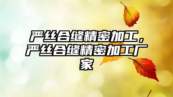 嚴絲合縫精密加工，嚴絲合縫精密加工廠家