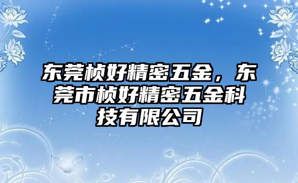 東莞楨好精密五金，東莞市楨好精密五金科技有限公司