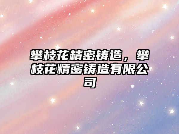 攀枝花精密鑄造，攀枝花精密鑄造有限公司