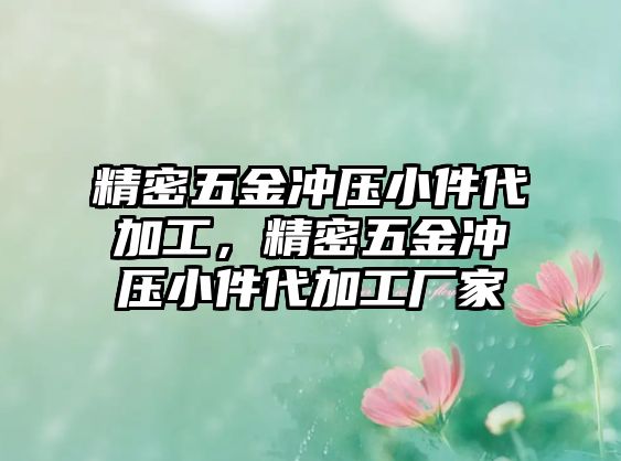 精密五金沖壓小件代加工，精密五金沖壓小件代加工廠家